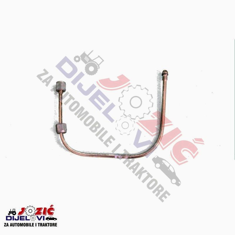 Daisy on the Ohoopee